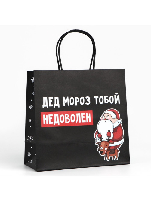 Пакет подарочный новогодний «Подарок, который ты заслужил», 22×22×11 см