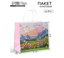 Пакет подарочный «Цветочное поле», 25×22×12 см