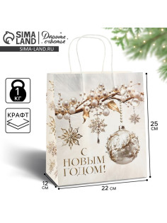 Пакет подарочный новогодний «С Новым годом», белый крафт, 22×25×12 см