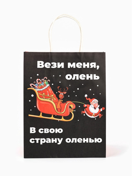 Пакет бумажный подарочный новогодний крафт, «Вези меня», 27×21×11 см