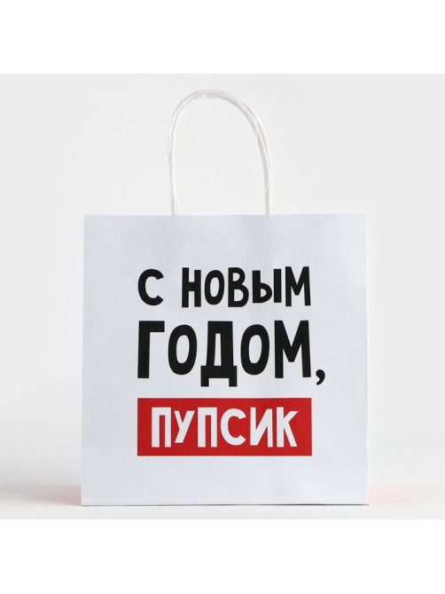 Пакет подарочный новогодний «С Новым годом, пупсик», 22×22×11 см