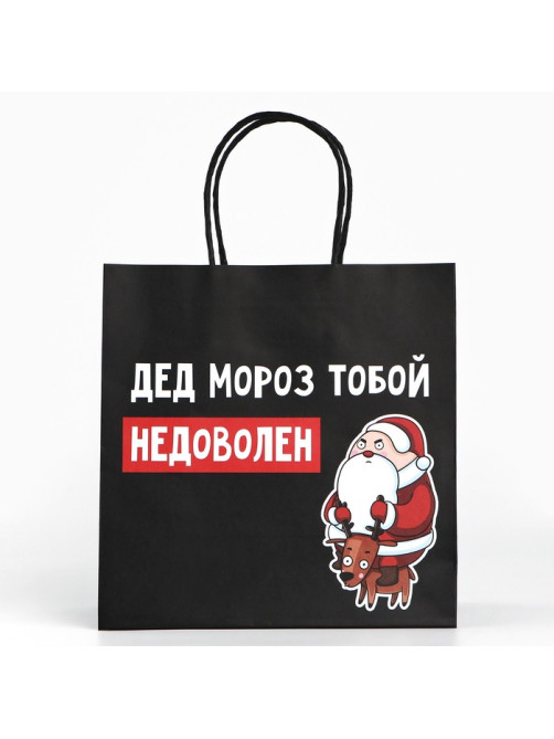 Пакет подарочный новогодний «Подарок, который ты заслужил», 22×22×11 см