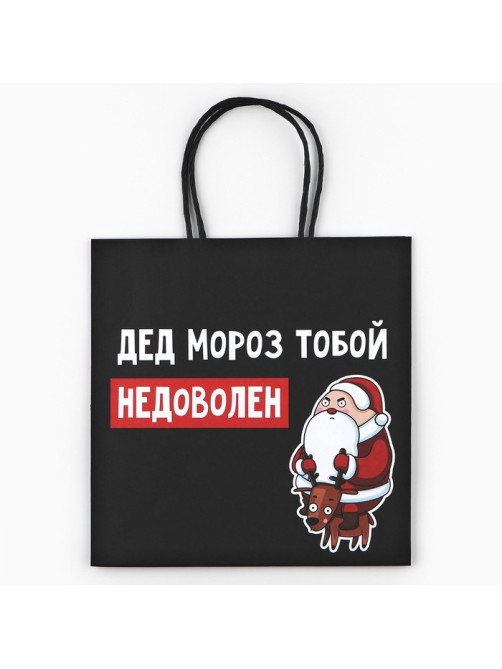 Пакет подарочный новогодний «Подарок, который ты заслужил», 22×22×11 см