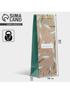 Пакет подарочный под бутылку Present, 36×14×10 см