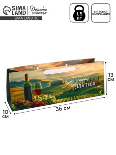 Пакет под бутылку «Подарок для тебя», 36×10×13 см