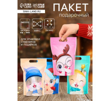 Пакет подарочный новогодний, с zip-lock застежкой, «Зимние котята», 15×22 см