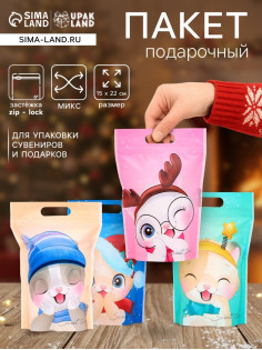 Пакет подарочный новогодний, с zip-lock застежкой, «Зимние котята», 15×22 см