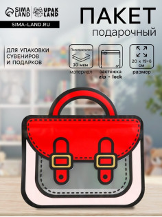 Пакет подарочный, «Портфель», с zip-lock застежкой, 20×19+6 см