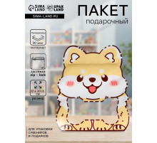 Пакет подарочный, с zip-lock застежкой «Корги» с окном, 17×20+3 см