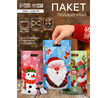 Пакет подарочный новогодний «Друзья дедушки Мороза», с zip-lock застежкой, МИКС, 15×22 см