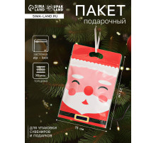 Пакет подарочный новогодний, с zip-lock застежкой, «Дед Мороз», 15×23±1 см