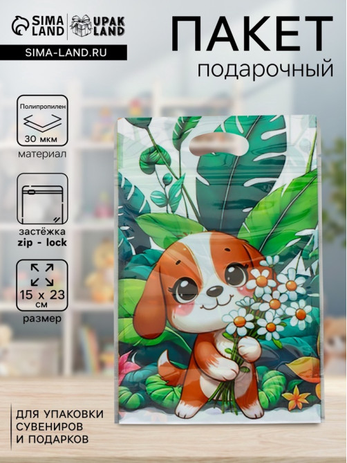 Пакет подарочный, с zip-lock застежкой «Букет ромашек», 15×23±1 см