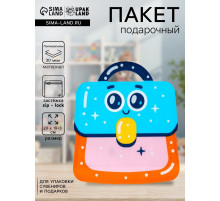 Пакет подарочный, с zip-lock застежкой «Портфель», фигурный, 20×19+3 см