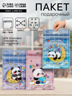 Пакет подарочный, с zip-lock застежкой, «Панда на луне», 15×23±1 см МИКС