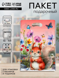 Пакет подарочный, с zip-lock застежкой «Белочка», 15×23±1 см