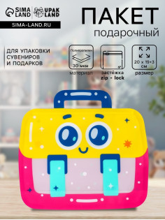 Пакет подарочный, с zip-lock застежкой «Портфель», фигурный, 20×19+3 см