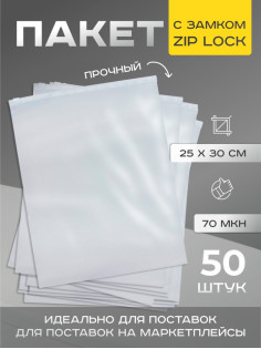 Пакет с замком, 70 мкн, 25×30 см