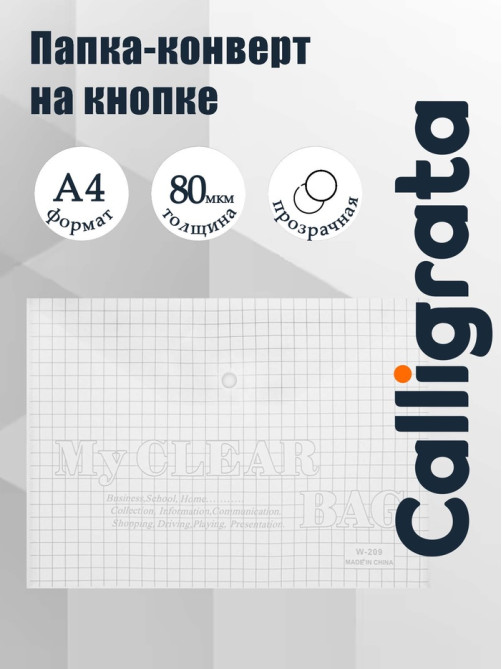 Папка-конверт на кнопке, А4, 80 мкм, «Клетка», прозрачная