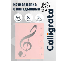 Нотная папка - 30 файлов 60 листов розовая