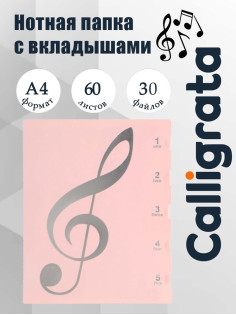 Нотная папка - 30 файлов 60 листов розовая