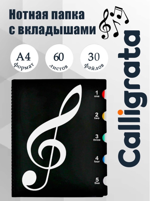 Нотная папка - 30 файлов 60 листов черная