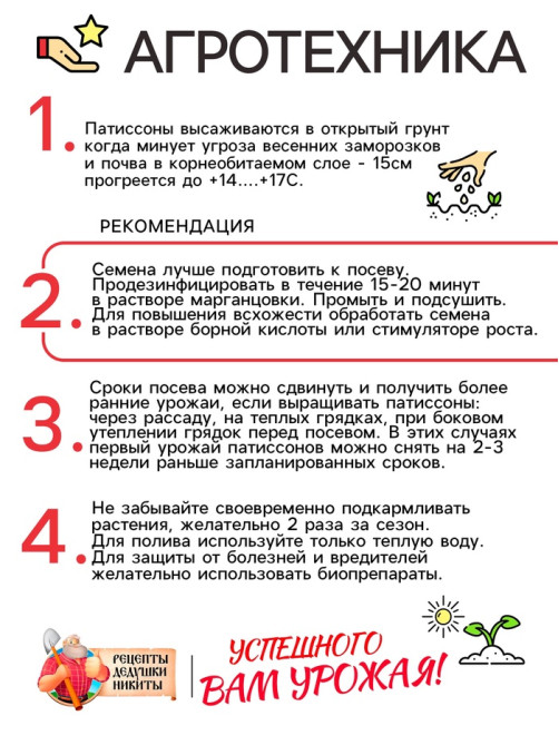 Семена Патиссон 