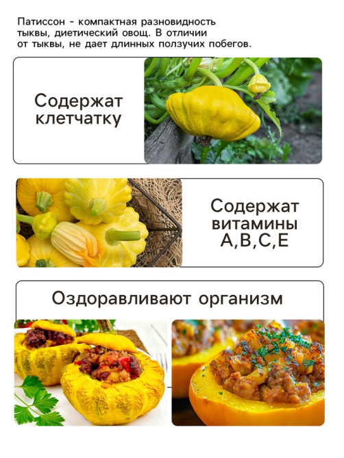 Семена Патиссон 