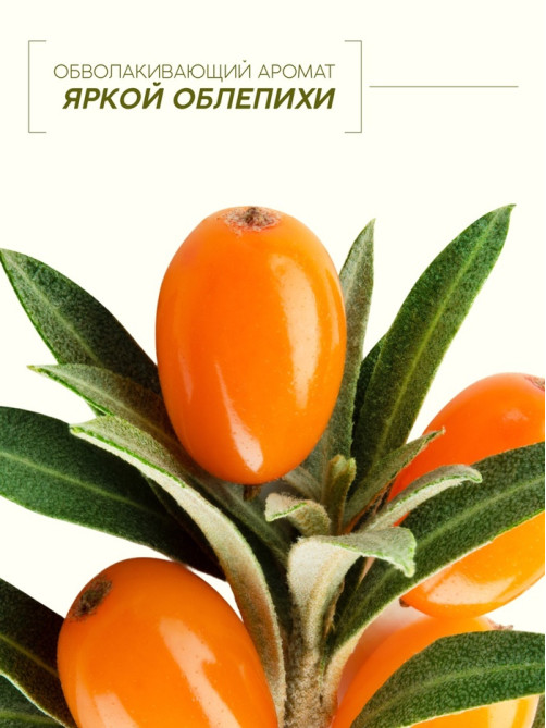 Пена для ванны, смягчающая формула, аромат облепихи, 400 мл, Рябина