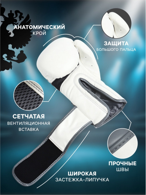 Боксерские перчатки FIGHT EMPIRE, PRIDE, размер 12 oz, белые