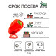 Семена Перец сладкий 