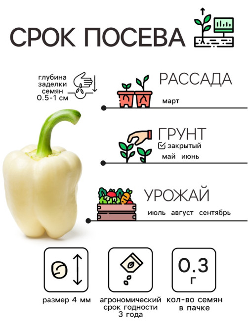 Семена Перец сладкий 