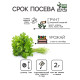 Семена Петрушка кудрявая «Мооскраузе», 2 г, «Рецепты дедушки Никиты»
