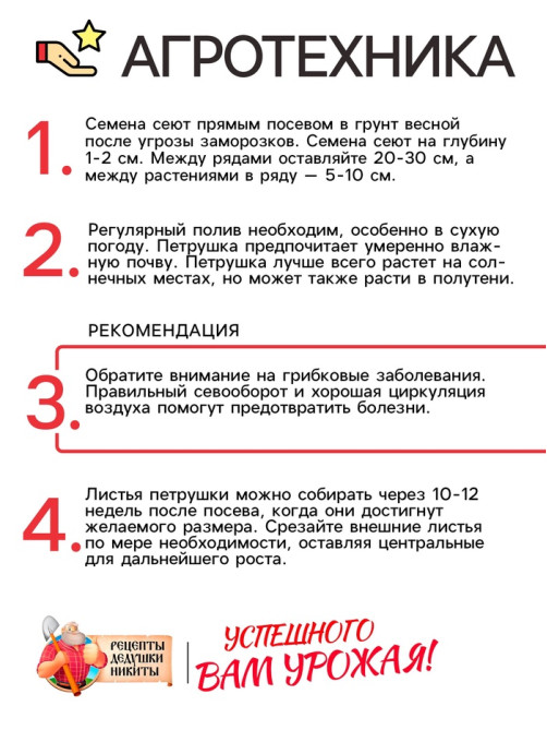 Семена петрушка листовая «Богатырь», 2 г