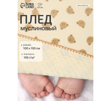 Плед двухслойный «Этель. Медвежонок», 100×100 см, муслин, вельбоа