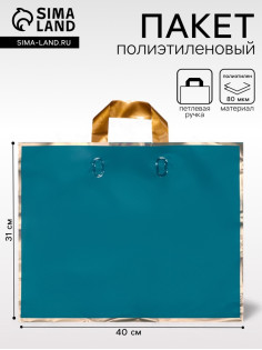 Пакет с петлевой ручкой синий 40×31×8 см 80 мкм