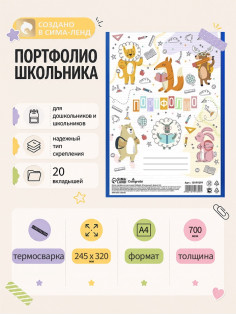 Папка-портфолио пластиковая А4, Calligrata «Команда», 20 файлов