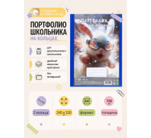 Папка-портфолио А4, Calligrata «Гонщик», пластиковая, на 2 кольцах, без вкладышей