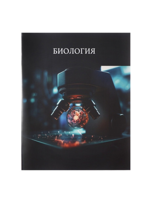 Набор предметных тетрадей Calligrata TOP «Школьный стиль», 10 предметов, 48 листов, со справочным материалом, пластиковая обложка