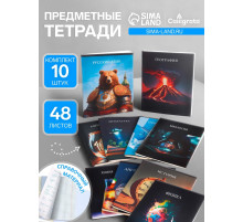 Набор предметных тетрадей Calligrata TOP «Школьный стиль», 10 предметов, 48 листов, со справочным материалом, пластиковая обложка