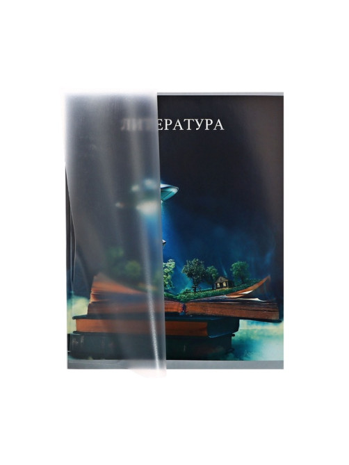 Предметная тетрадь по литературе Calligrata TOP «Школьный стиль», 48 листов, в линейку, со справочным материалом, пластиковая обложка