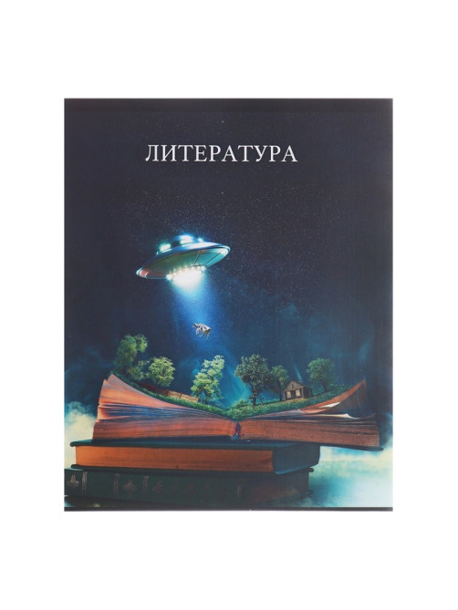 Набор предметных тетрадей Calligrata TOP «Школьный стиль», 10 предметов, 48 листов, со справочным материалом, пластиковая обложка