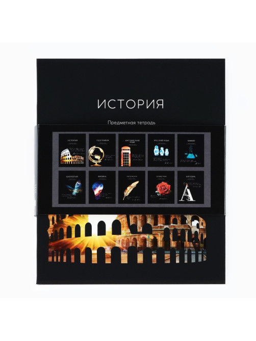 Тетради предметные, 48 л., набор из 10 шт., блок №1, софт тач лам, уф лак «Силуэт»