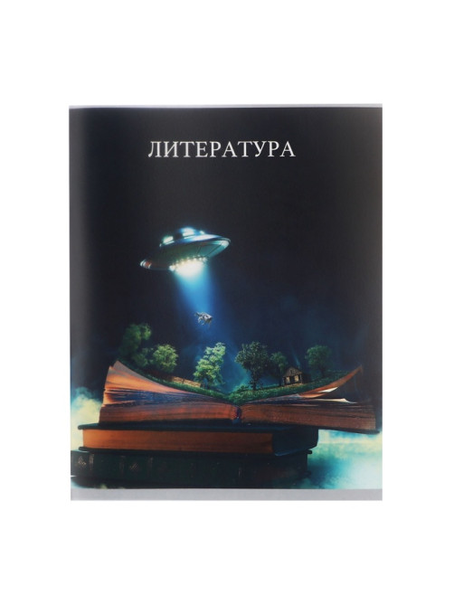 Предметная тетрадь по литературе Calligrata TOP «Школьный стиль», 48 листов, в линейку, со справочным материалом, пластиковая обложка