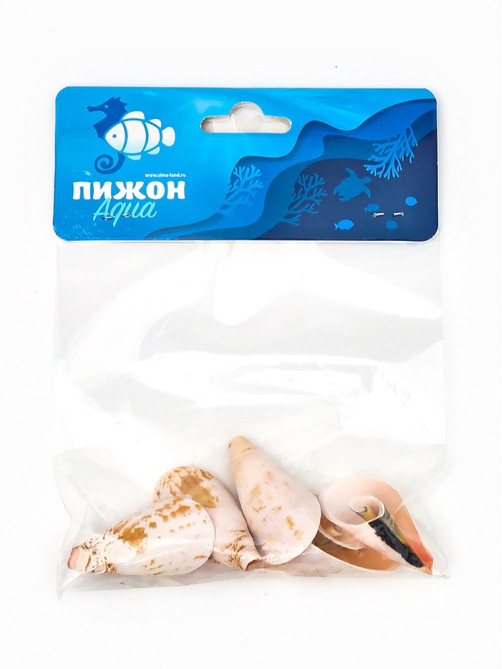 Набор ракушек декоративных, длина 4 см, 5 шт.