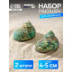 Набор ракушек декоративных, длина 4-5 см ширина 2 см, 2 шт.