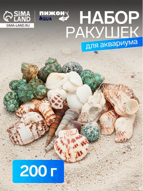 Набор ракушек «Пижон Аква», 200 г, микс №1