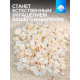 Набор ракушек декоративных 1.5-3 см, 100 г