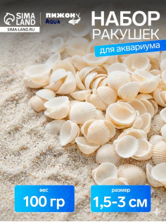 Набор ракушек декоративных 1.5-3 см, 100 г