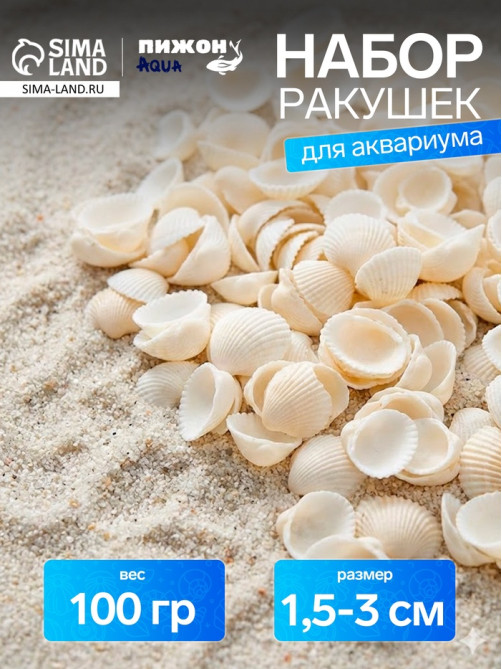 Набор ракушек декоративных 1.5-3 см, 100 г
