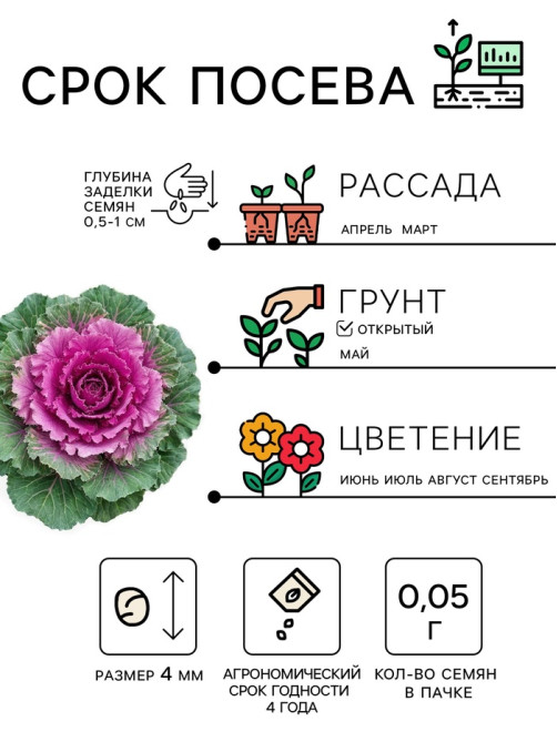 Семена цветов Капуста Декоративная, 0.05 г, «Рецепты дедушки Никиты»